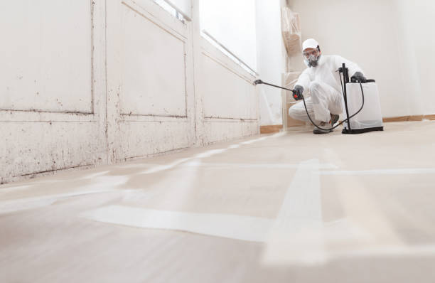 Trusted Crawl Space Mold Removal service in Martinsburg, PA - WQB Mold Removal