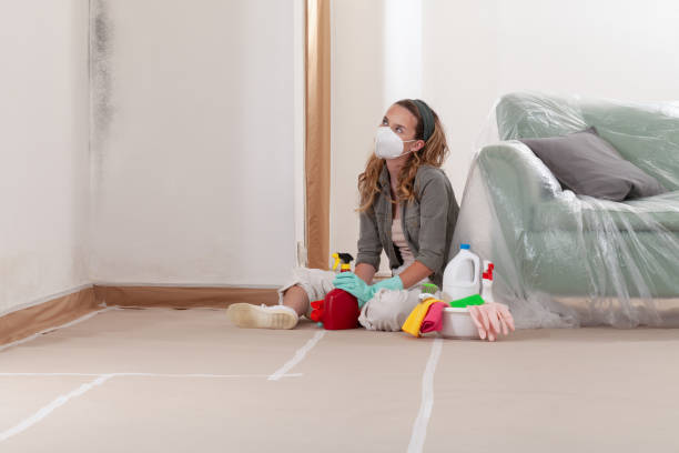 Reliable Crawl Space Mold Removal contractor in Martinsburg, PA by WQB Mold Removal