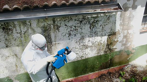 Top rated local Crawl Space Mold Removal specialists in Martinsburg, PA